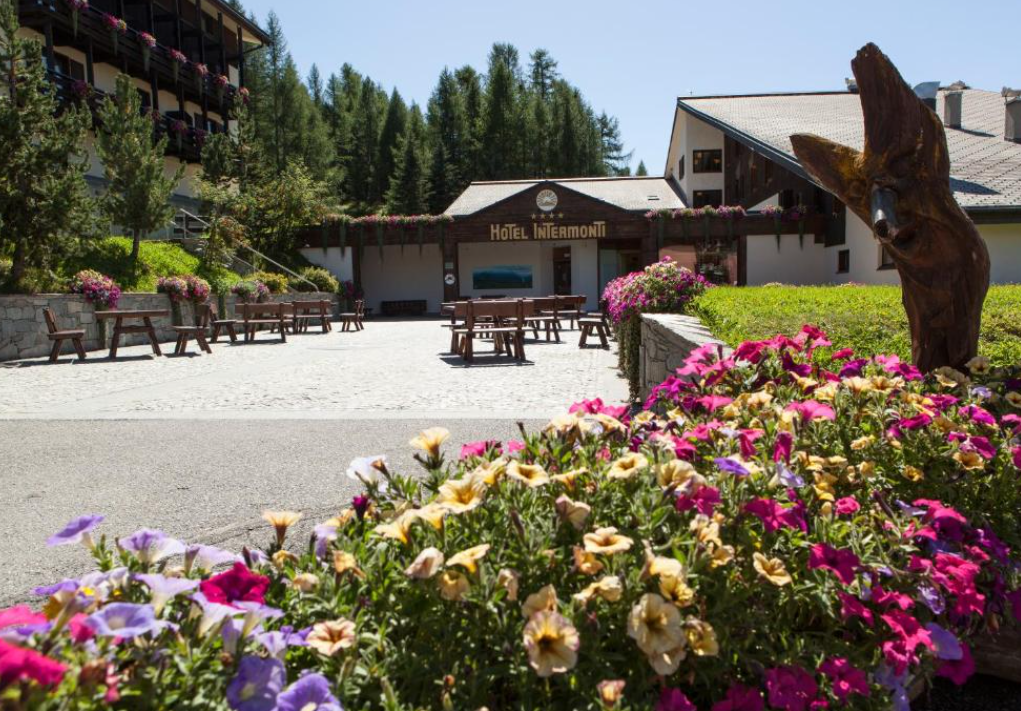 Domotica BIG Hotel Intermonti